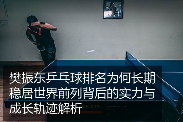 樊振东乒乓球排名为何长期稳居世界前列背后的实力与成长轨迹解析