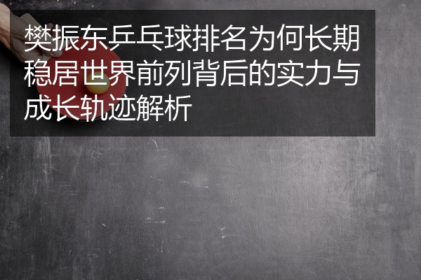 樊振东乒乓球排名为何长期稳居世界前列背后的实力与成长轨迹解析